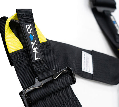 FIA SEAT BELT HARNESS