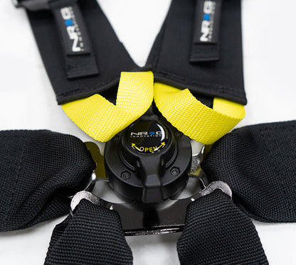 FIA SEAT BELT HARNESS